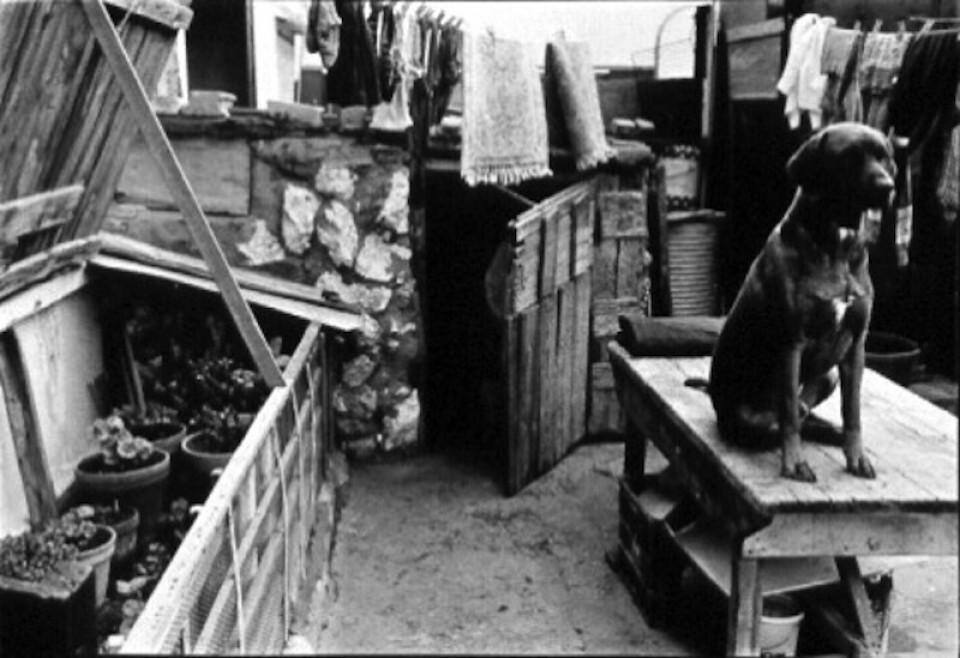 rencontre maghrebine en france