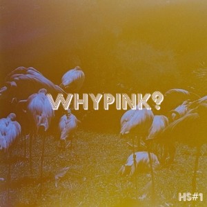 Whypink? HS#1