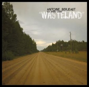 antoine-berjeaut-wasteland