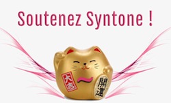 soutien-syntone-cat-1-1