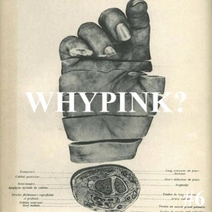 Whypink #6